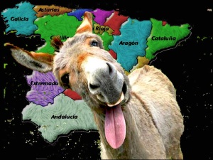 Mapa de burros  España1